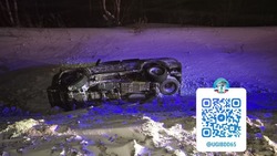 Водитель на Toyota Hilux Surf улетел в кювет в Углегорском районе: пострадала женщина 