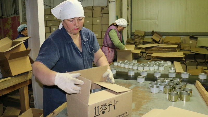 Власти Сахалина поддержат рыбокомбинат «Островной»