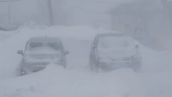 Мэр Южно-Сахалинска Надсадин остался недоволен уборкой снега в Дальнем и Луговом