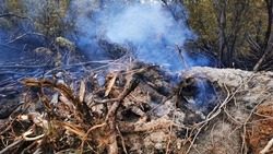 Масштабный лесной пожар на севере Сахалина удалось локализовать