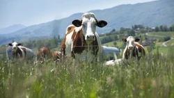 Приметы обо всем на 22 августа 2023 года: что можно и нельзя делать в этот день