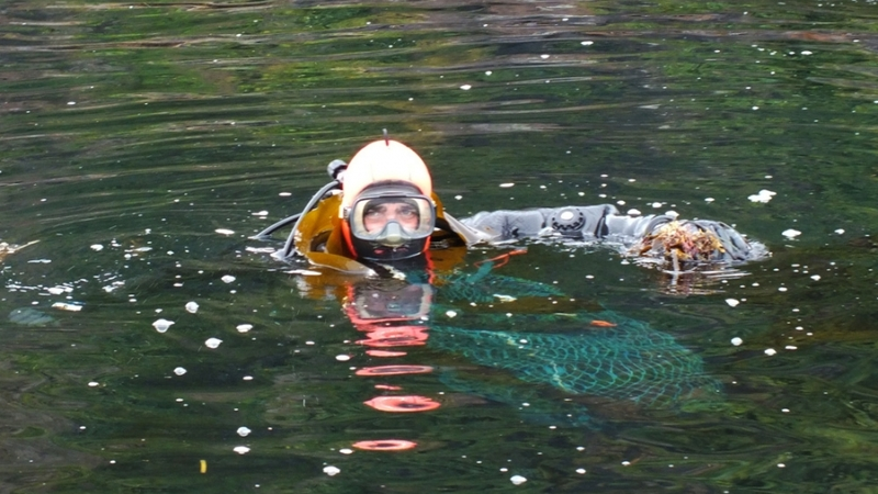 СахНИРО оценит состояние морских биоресурсов южных Курил