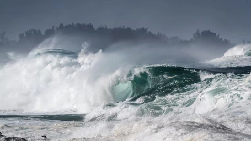 Угрозу цунами на Курильских островах проконтролирует прокуратура
