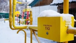 С начала года на Сахалине к системе газоснабжения подключили около 450 домов