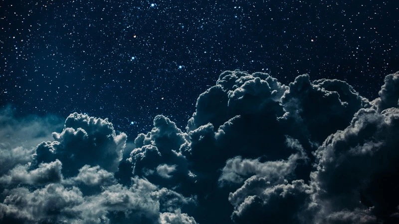 Рыб ждут радостные поездки, а Львов — переживания: подробный гороскоп на 23 марта