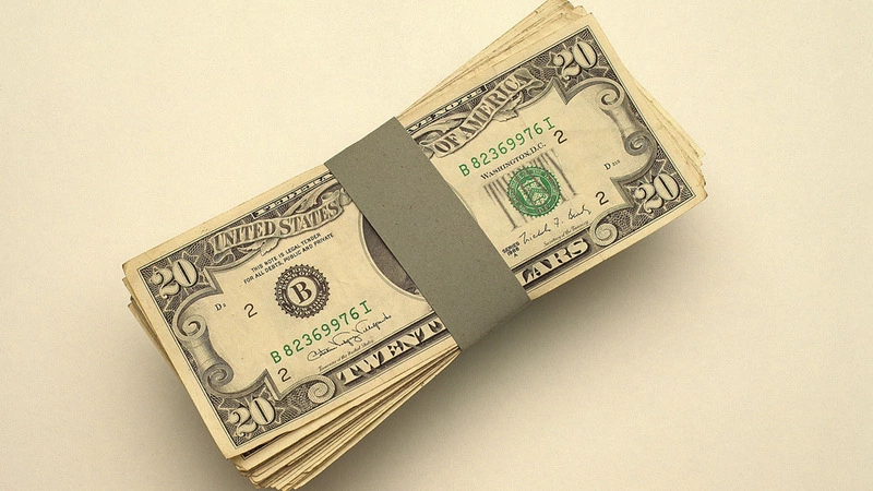 Услугу няни сахалинец оценил в 1800 хозяйских долларов