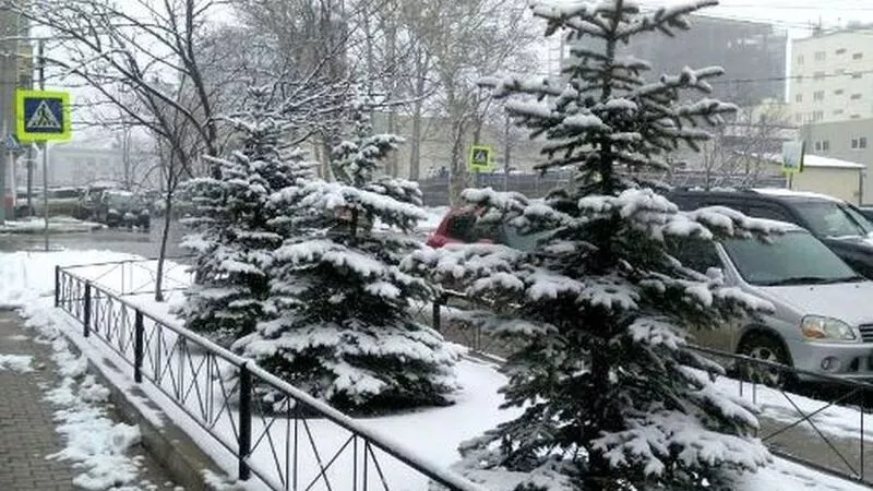 Снег и сильный ветер. Прогноз погоды на Сахалине на 17 октября