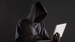 Депутат Хинштейн назвал причину масштабного сбоя в работе СДЭК