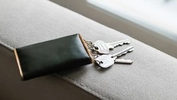 Сахалинка может отправиться в колонию за кражу техники из квартир своих подруг