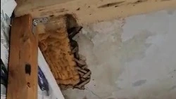 Проблему семьи бойца СВО в Тымовском районе решили после публикации блогера