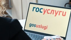 Россияне пожаловались на сбой в работе портала Госуслуг
