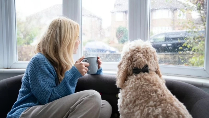 Дождь и ветер до 17 м/с: прогноз погоды на Сахалине и Курилах 30 апреля