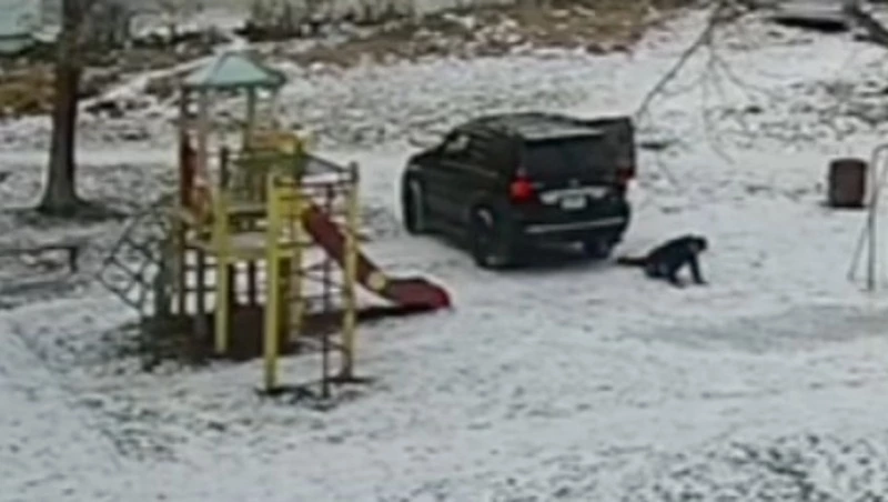 Пьяные сахалинцы на Lexus въехали на детскую площадку и подрались с очевидцем 