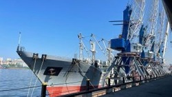Более 25 тысяч тонн рыбной продукции отправили на экспорт с Сахалина и Приморья за неделю