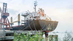 Уголовные дела о контрабанде краба на 10 млн рублей в Китай и Корею возбудили на Сахалине