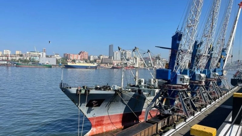 Более 29 тысяч тонн рыбы экспортировали с Сахалина и из Приморья за неделю