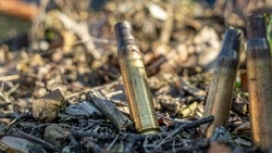 ФСБ пресекла деятельность украинских диверсантов в Брянской области