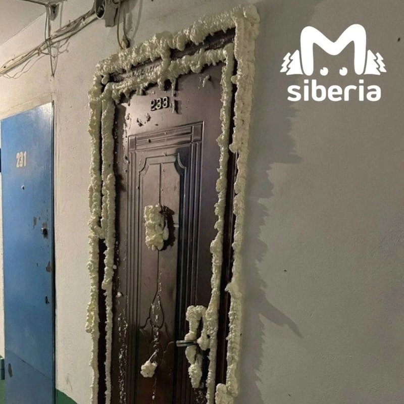 В Кемерове горожане спасают дом от нашествия тараканов из-за пустующей квартиры