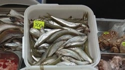 Свежую корюшку с севера Сахалина продают с трехкратной наценкой
