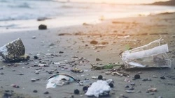 Акции по расчистке водоемов и посадке деревьев стартуют на Сахалине