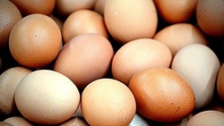 Жителям планировочных районов Южно-Сахалинска привезут яйцо и мясо с птицефабрики