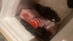 Сотрудники ФСБ обнаружили в Поронайске тонны браконьерской икры и рыбы, их продавали местным жителям