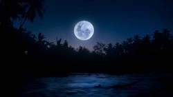 Полнолуние в октябре 2024: особенности, как повлияет на знаки зодиака, что нельзя делать