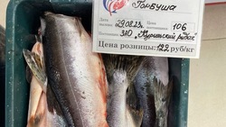 Свежую горбушу по 122 рубля за килограмм предложили жителям Итурупа 29 августа 