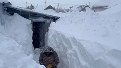 Волонтеры Сахалина помогли пенсионерам расчистить дворы и добраться до медиков