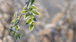 Снег и до –1 градуса ждут жителей Южно-Сахалинска 1 марта