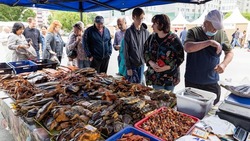 Жителей Синегорска приглашают купить рыбу и мед