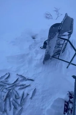 Видео с рыбалки в разгар метели выложил житель Сахалина в соцсетях