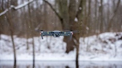 Сахалинская облдума поддержала инициативу по использованию беспилотников в лесном надзоре