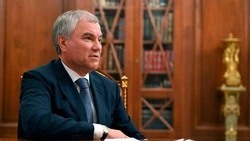 Депутаты Госдумы поддержали решение Владимира Путина об отказе от иномарок