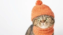 Пациенты больниц Южно-Сахалинска проведут без тепла и горячей воды 14 января 