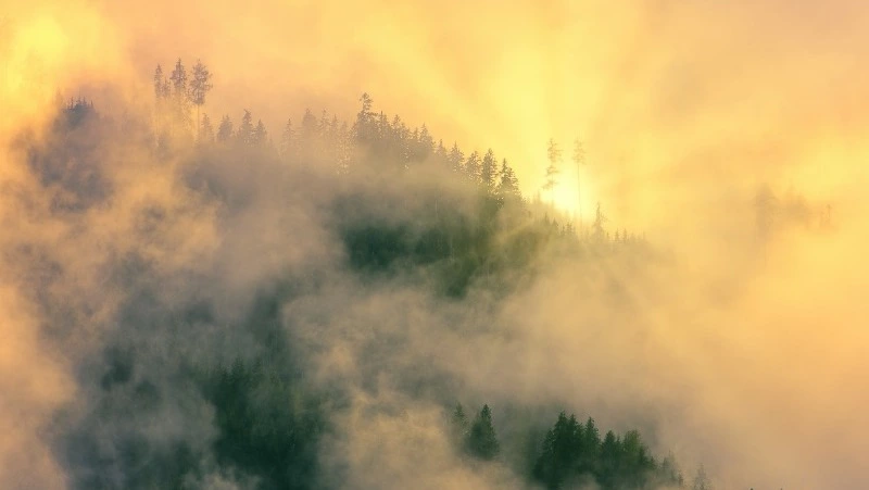 Жару до +30 градусов спрогнозировали синоптики в Южно-Сахалинске 6 августа 