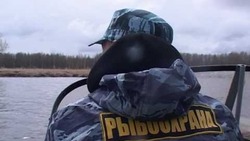 Любителей незаконной рыбалки на Сахалине и Курилах оштрафовали на 67 тысяч рублей