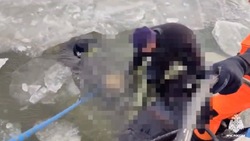 Автомобиль рыбаков провалился под лед в Приморье, два человека погибли