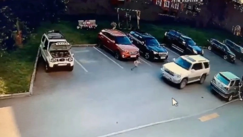 Четырехлетний мальчик попал под колеса Toyota в Южно-Сахалинске