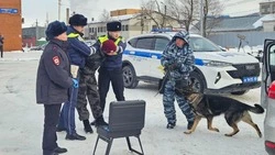 Сахалинские инспекторы ГАИ пресекли 155 нарушений правил дорожного движения 3 марта