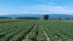 Мэр Южно-Сахалинска поблагодарил работников сельского хозяйства за самоотдачу в труде