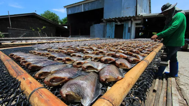 Глава Минвостокразвития анонсировал создание архипелагов для переработки рыбы