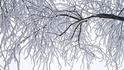 До -36 и без осадков: прогноз погоды на Сахалине и Курилах 7 февраля