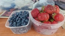 На рынках Южно-Сахалинска начали торговлю клубникой и жимолостью