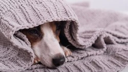 Часть Южно-Сахалинска останется без отопления на шесть часов 4 декабря