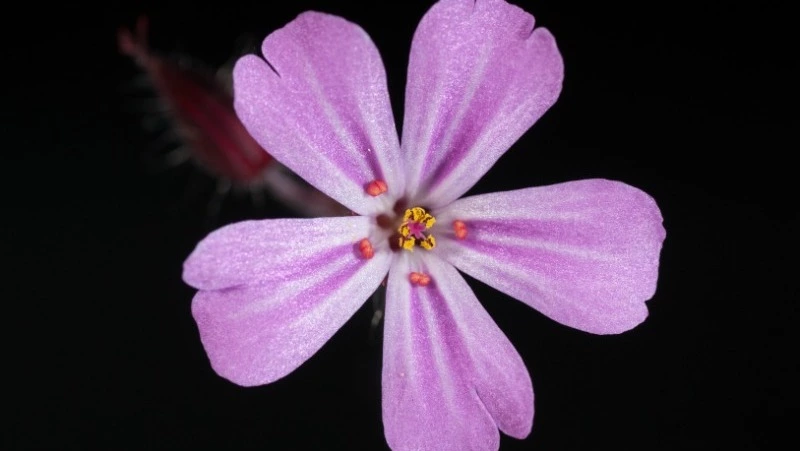 Гороскоп Таро на 14 сентября 2023: прогноз карт и советы на день