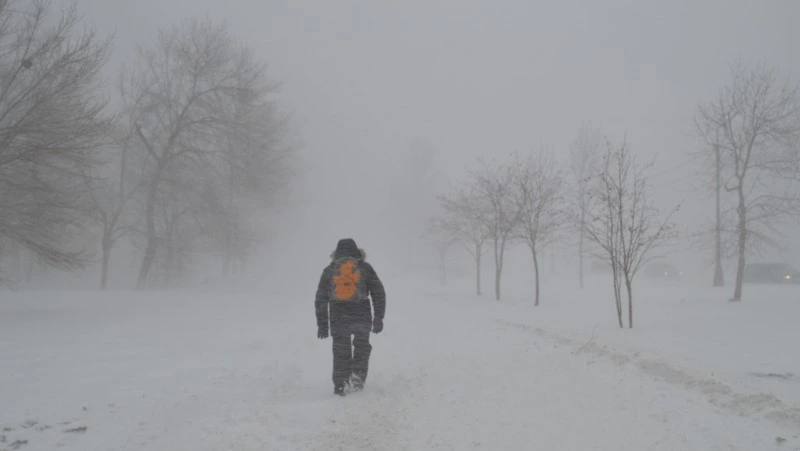 Сильный снег и порывистый ветер ожидаются в Сахалинской области 23 января