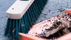 Жителей Южно-Сахалинска пригласили на чистые пятницы 14 апреля