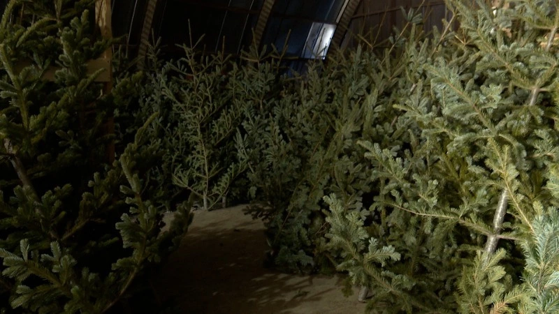 Когда покупать?