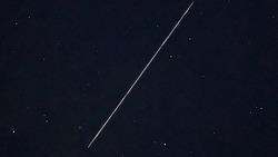Спутники Илона Маска напугали отдыхающих на побережье Анивы